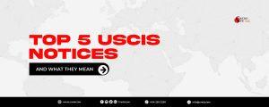 Top 5 USCIS Notices and What They Mean | Blog Post | CredoLaw LLC | Immigration Firm in USA